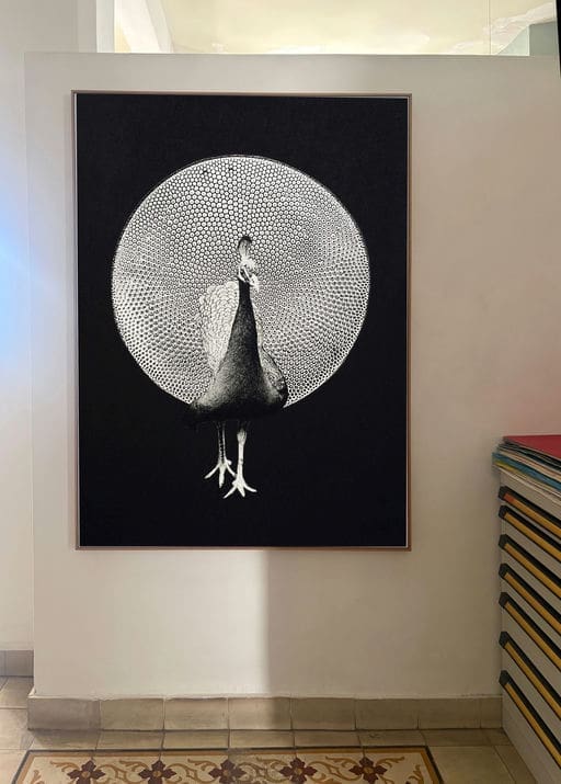 CALLIGRAPHIC ANIMALS (Peacock)