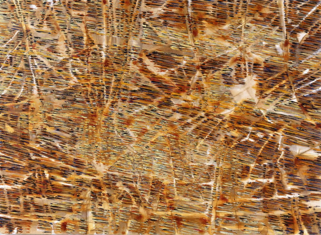 Field IV ,End of Summer