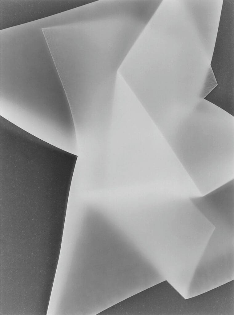 Untitled (Photogram #3)