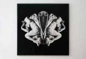 lot-172-nights-gallery1