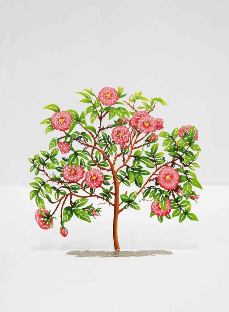 Red in the Wood (Pink)