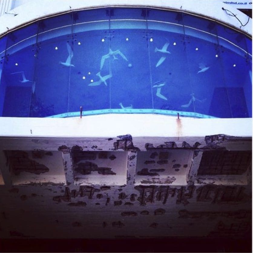 The Blue Room